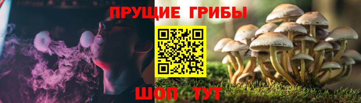 Галлюциногенные грибы Magic Shrooms  Вход с VPN  Подольск 